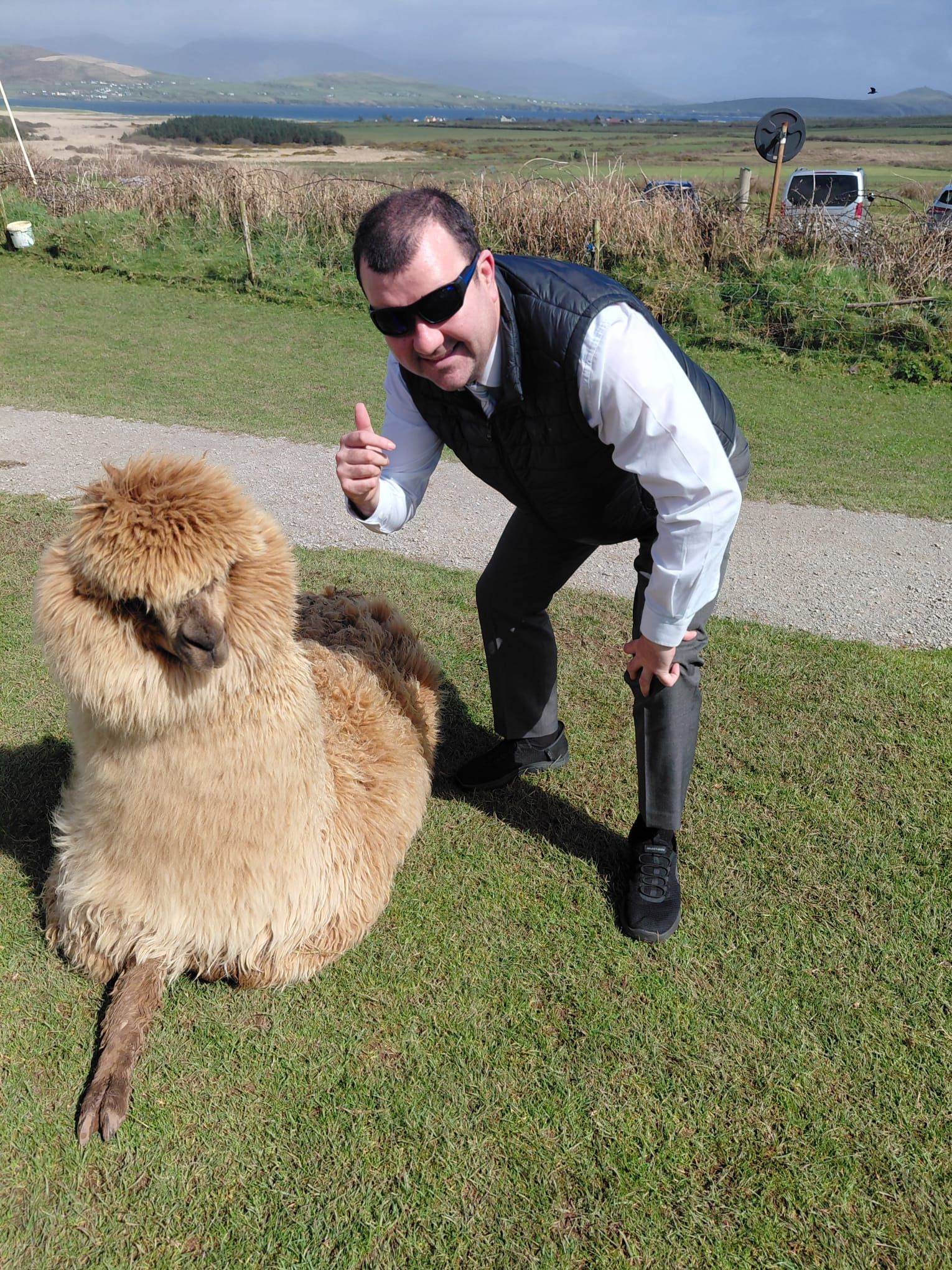 Paul Rodgers in sunglasses gives a thumbs up beside a fluffy alpaca on a grassy verge.